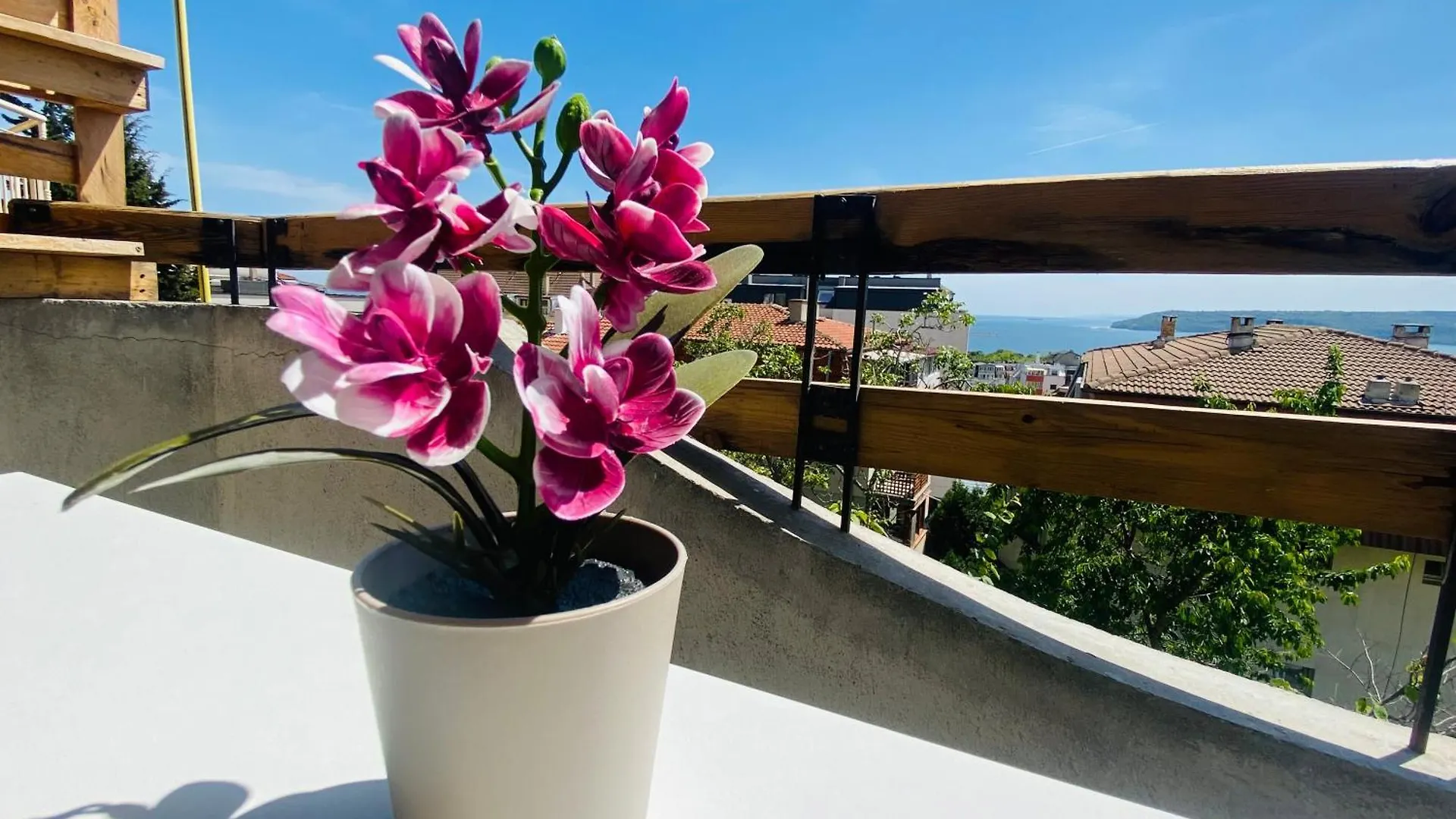 Apartment 1 Bedroom Ap Seaview Peace And Quiet Varna